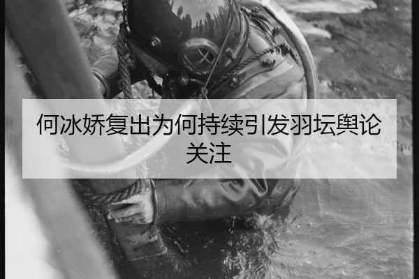 何冰娇复出为何持续引发羽坛舆论关注